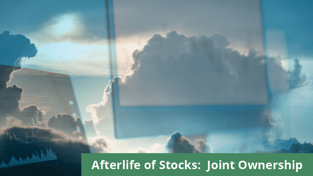 Afterlife of Stocks: Joint Ownership