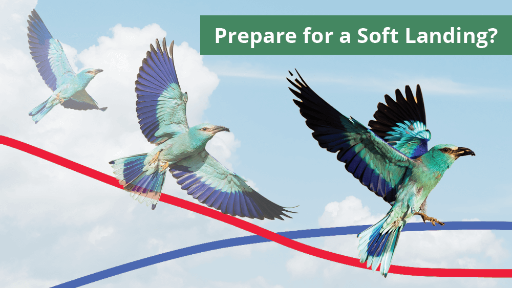 Prepare for a Soft Landing?